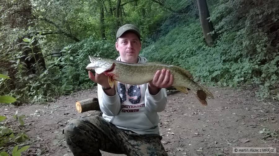 Štika 76cm