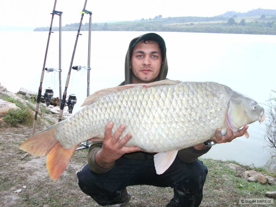 MUJ KAPŘIK