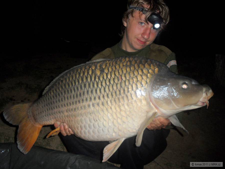Jestřabice Kapr 13 Kg