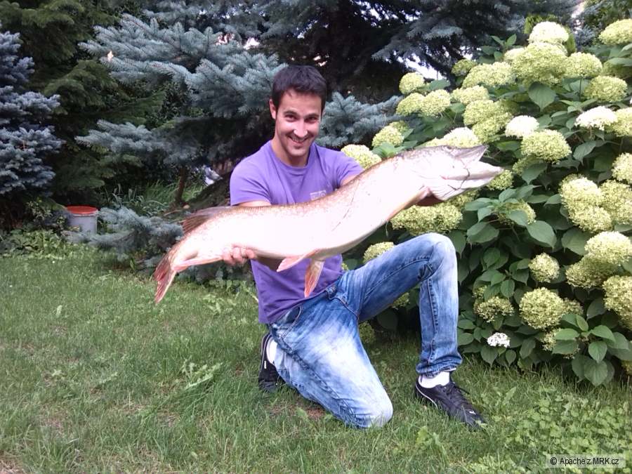 štika 103 cm