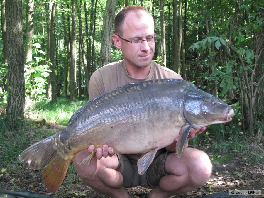 10,5kg