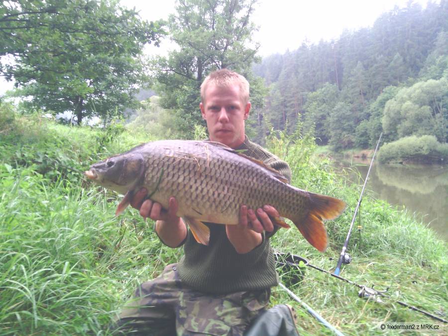 Lužnice