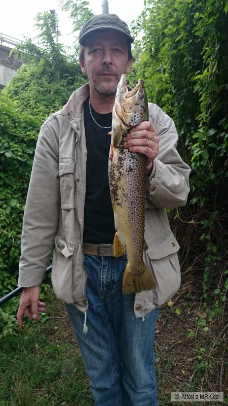 Pstruh 59 cm
