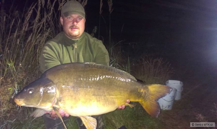 Kapr 89cm 15.30kg - Svazovka