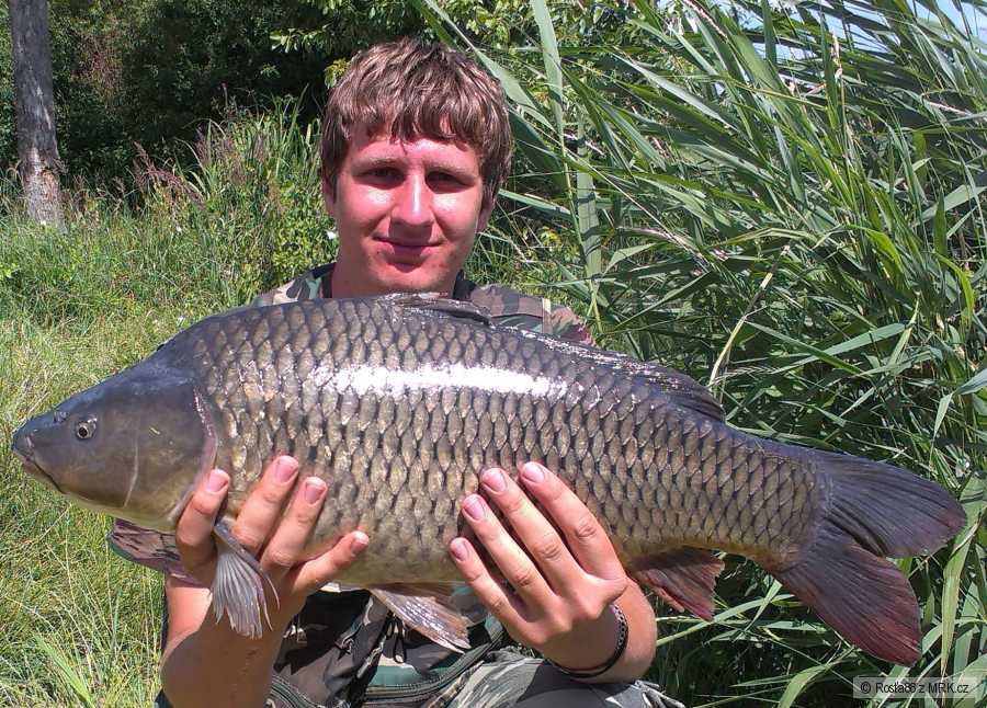 Kapřík 65cm a 5,5kg