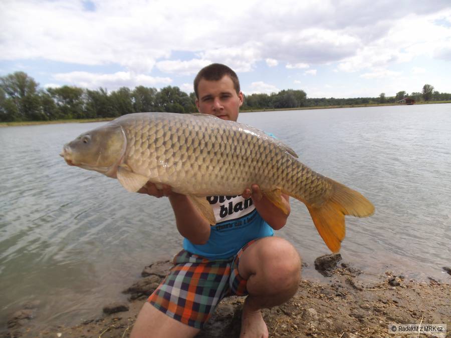 kapřík 91cm