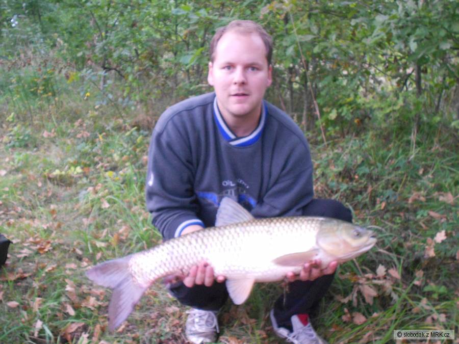 Amur 73 cm 4,75 kg - kukuřice
