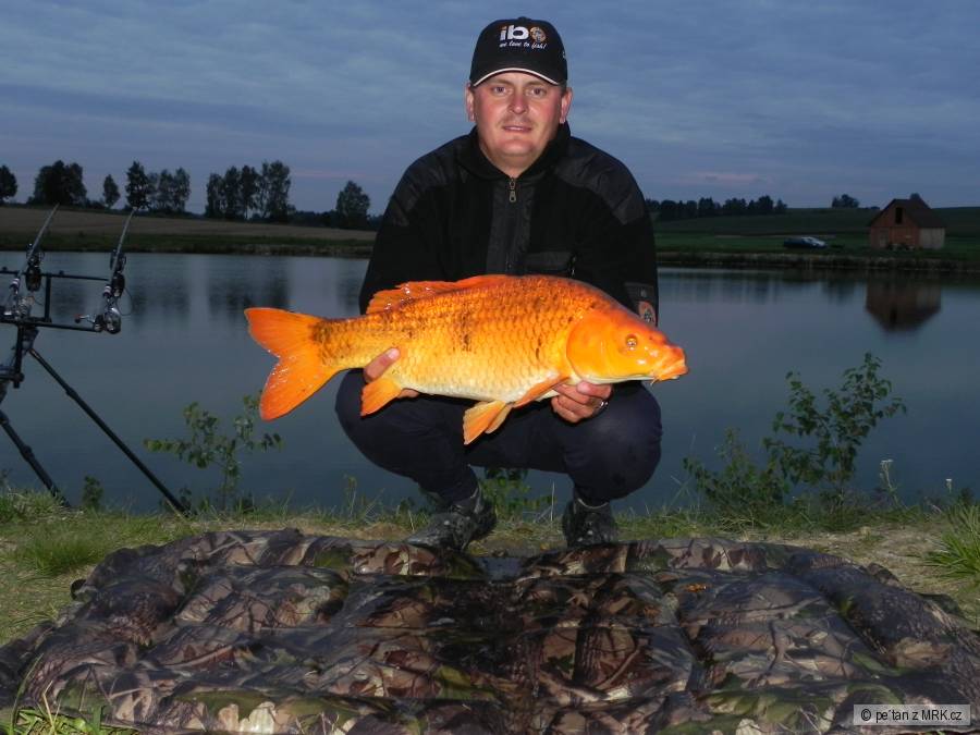koi z Hrutkova