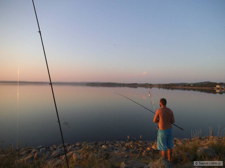 mušov