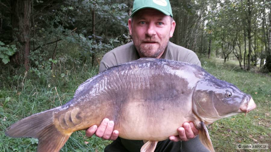 Kapr 82cm a 11.80kg