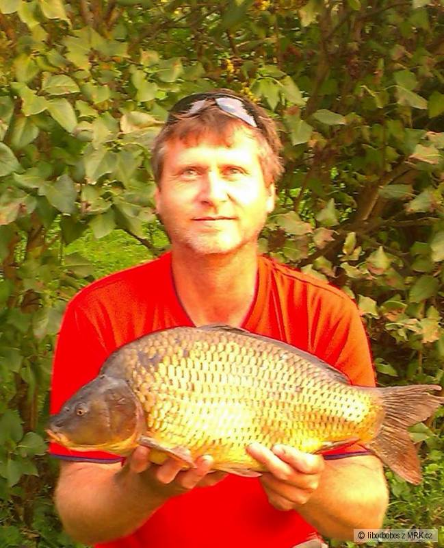 Kapr 53 cm váha 3kg