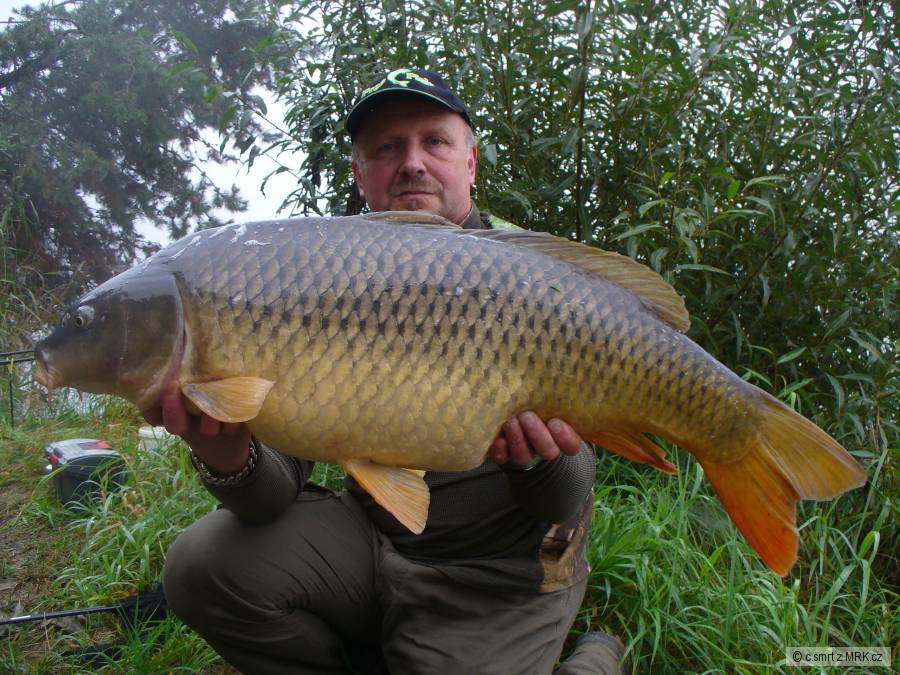 2014-konečně 15kg