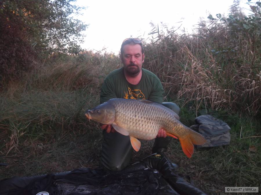 svazovka 85cm a 13kg