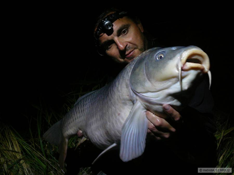 14,1kg 92cm