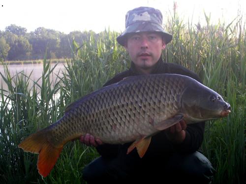 Kapr 84cm,10.5kg