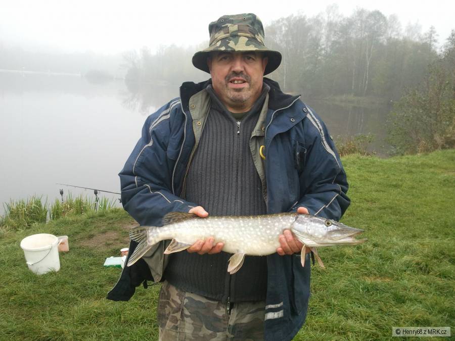 Štika obecná 65 cm