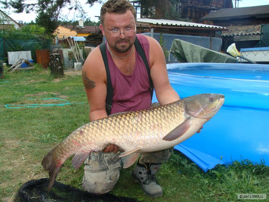 amur 110cm a 17kg labe