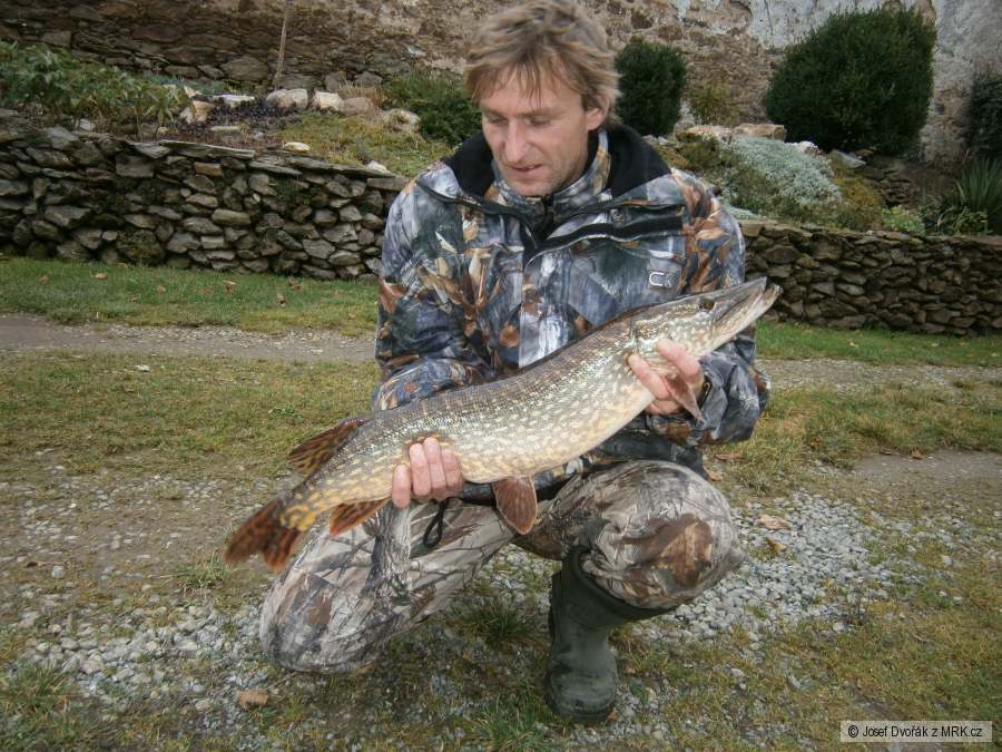 Štika