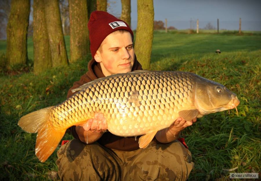 Šupináč
