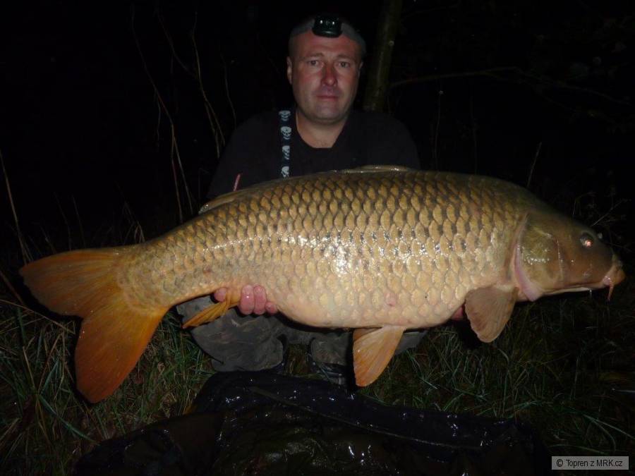 Kapr ze svazovky 100cm 16,2kg
