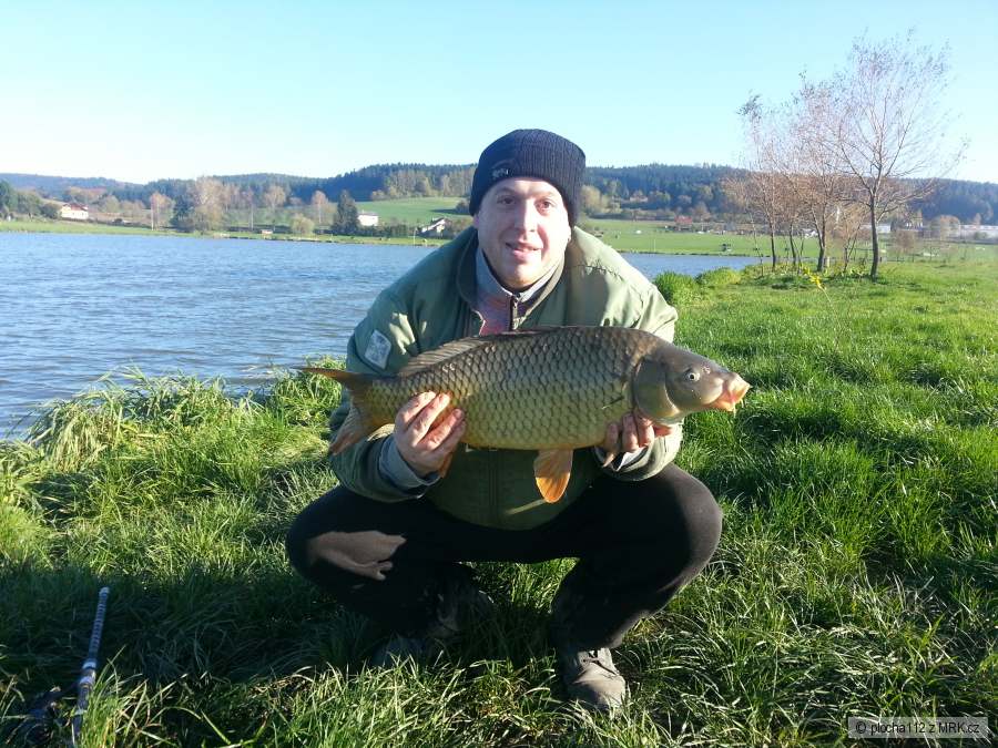 kapr 72 cm