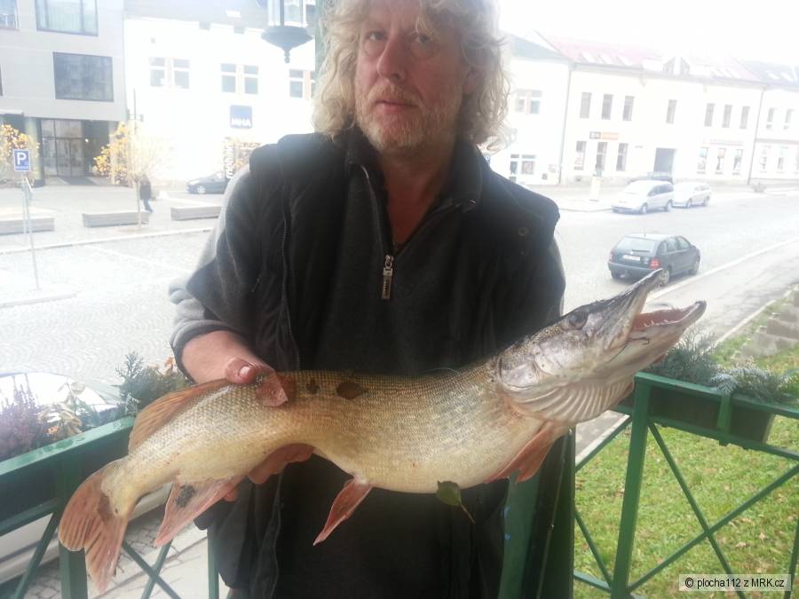 Životní úspěch Petra P. Štika 86