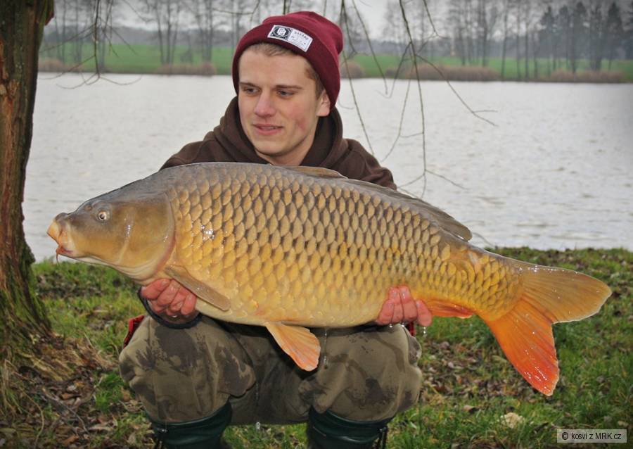 Šupináč