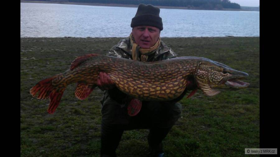 Štika 120cm 15,10kg