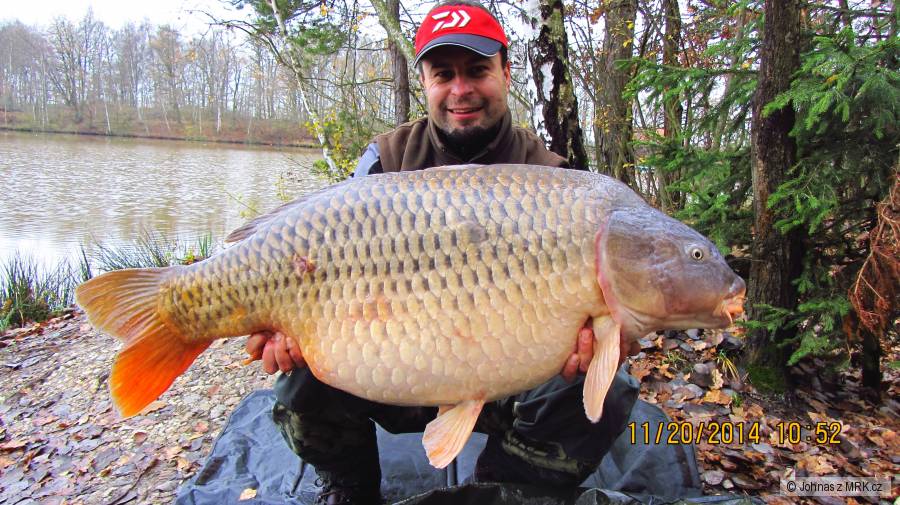 Kapr 21,40kg