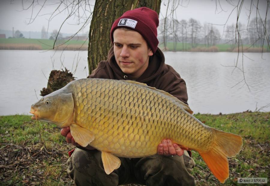 Šupináč