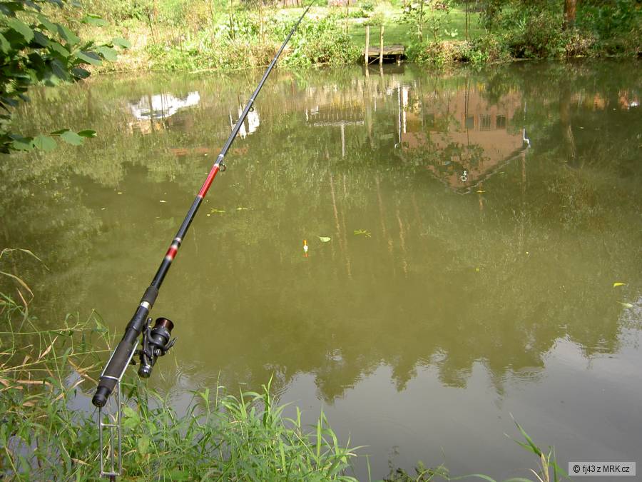 PLOUCNICE 3