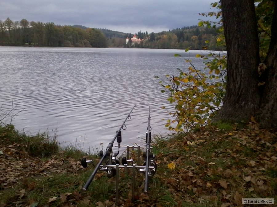 Žinkovy