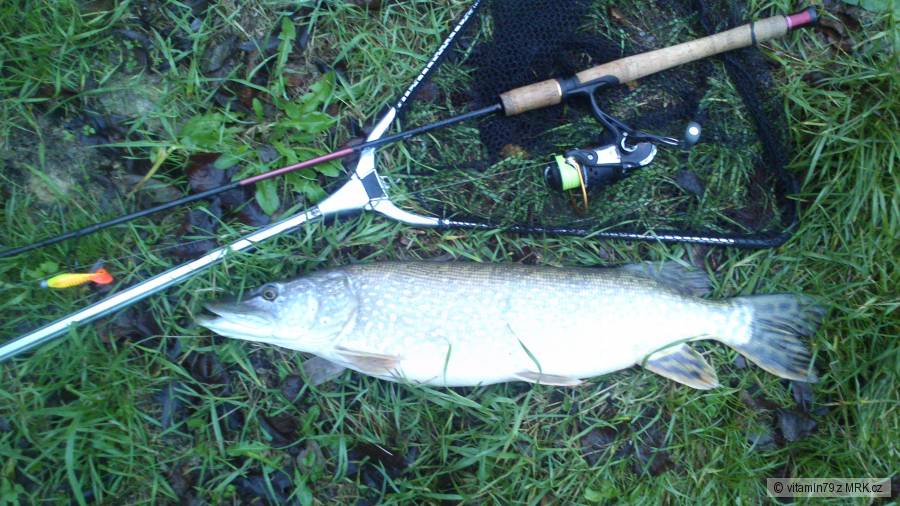 štika 74cm