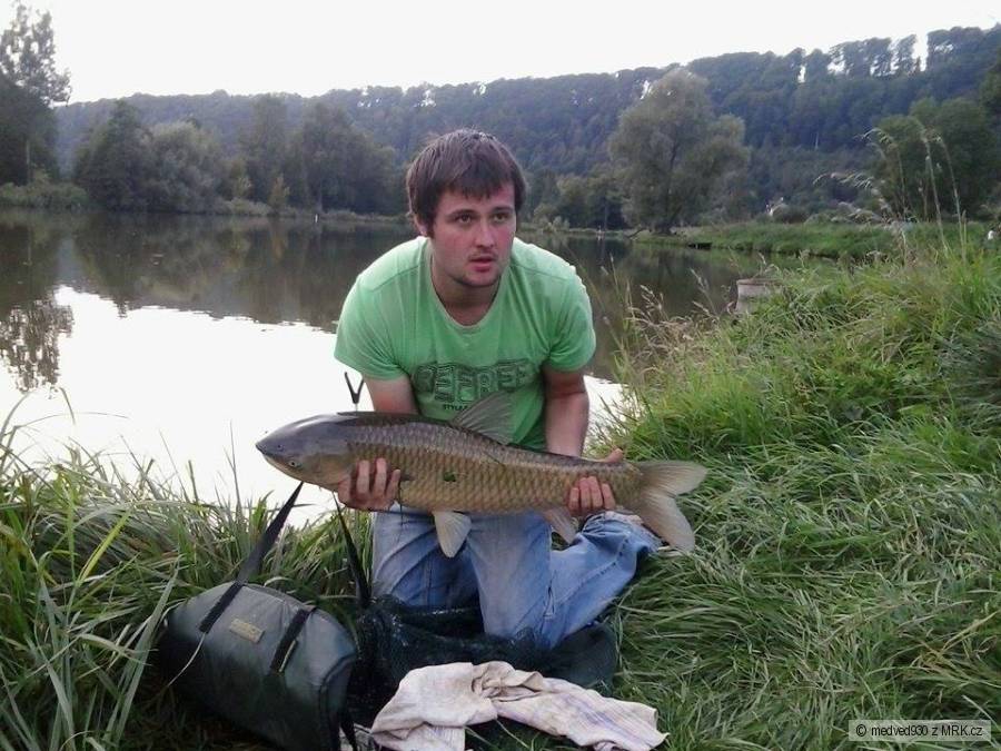 letní amur