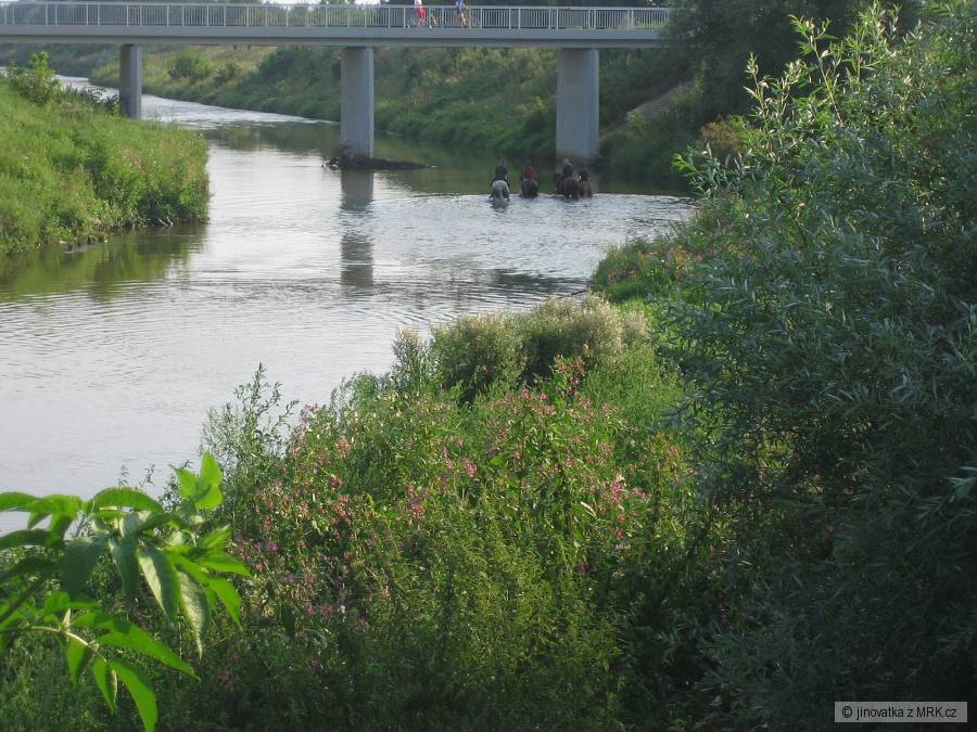 soutok Svratky a Svitavy