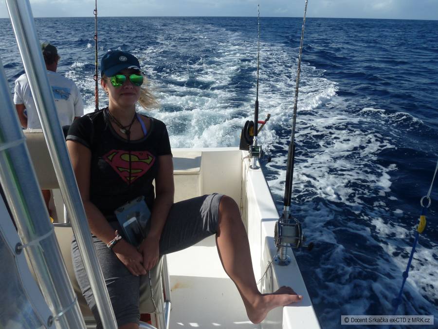 Big Game, Barbados