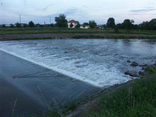 splav