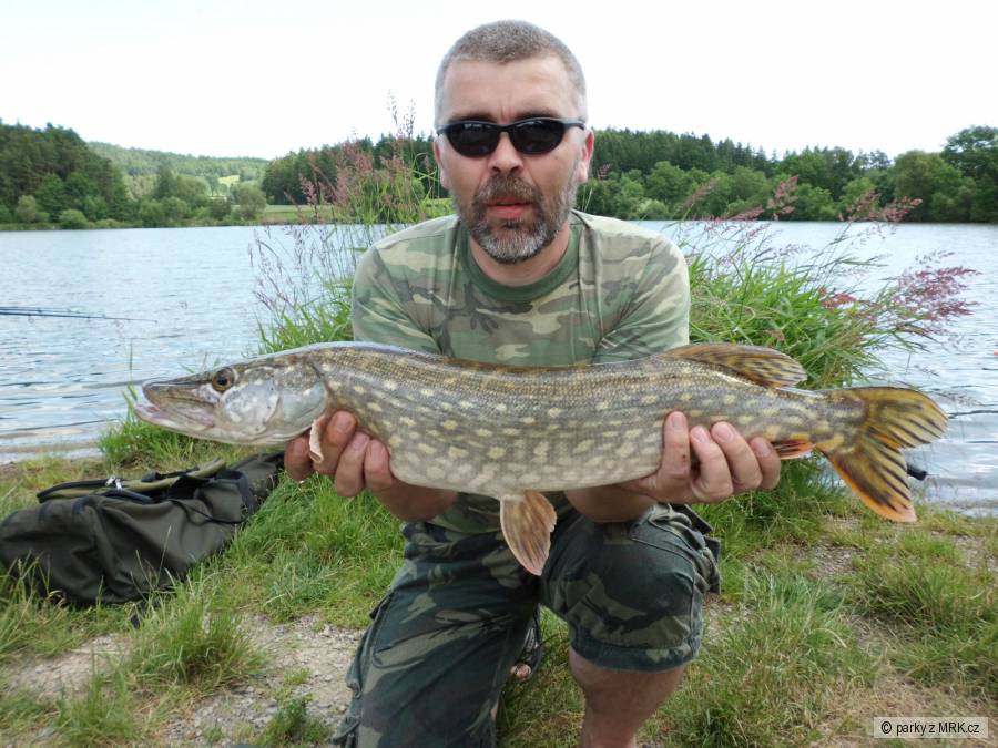 štika 72