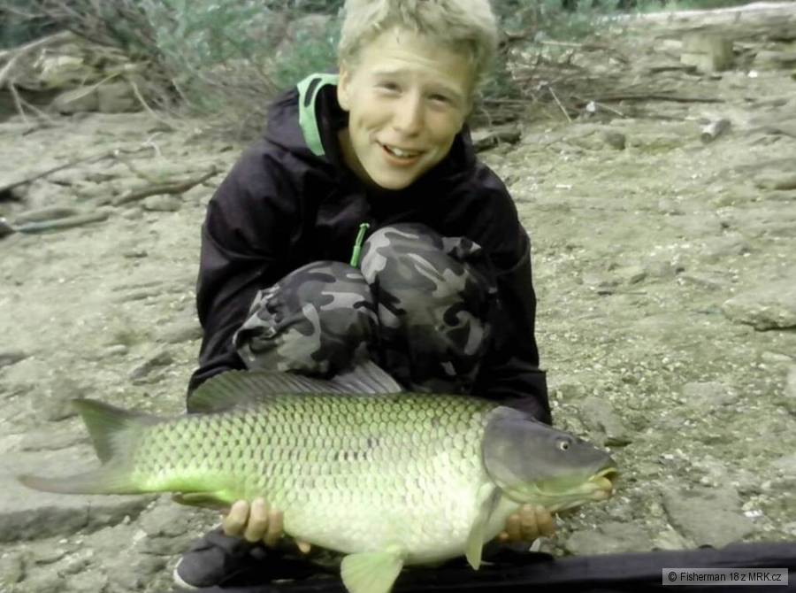 kapřík na feeder