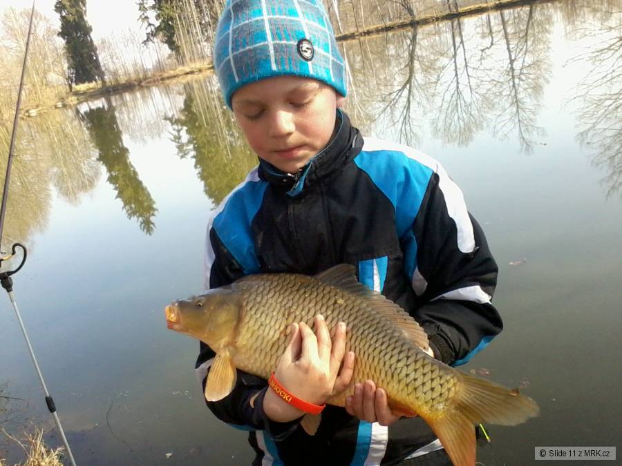 Můj první kapr