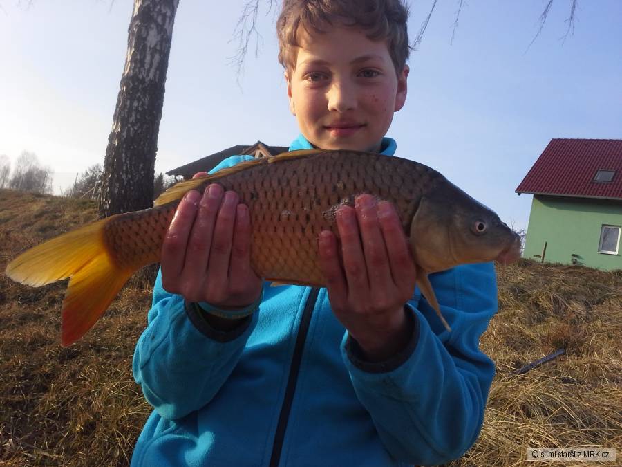 Můj první kapr