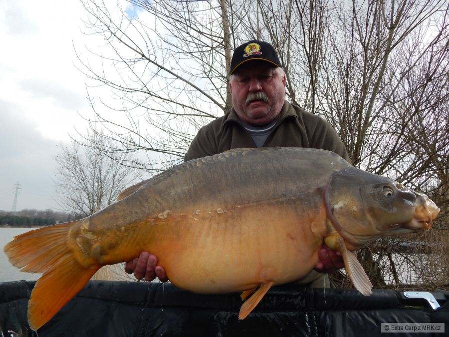 Kapr 22kg