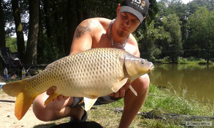 Sezona 2014