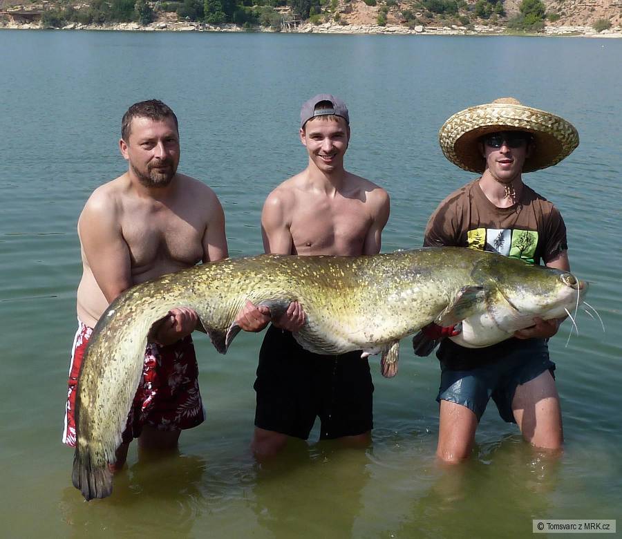 Sumec 224cm 80kg