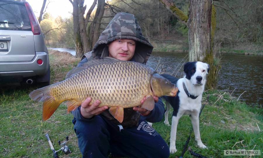 Kapřík něco málo přes 60cm