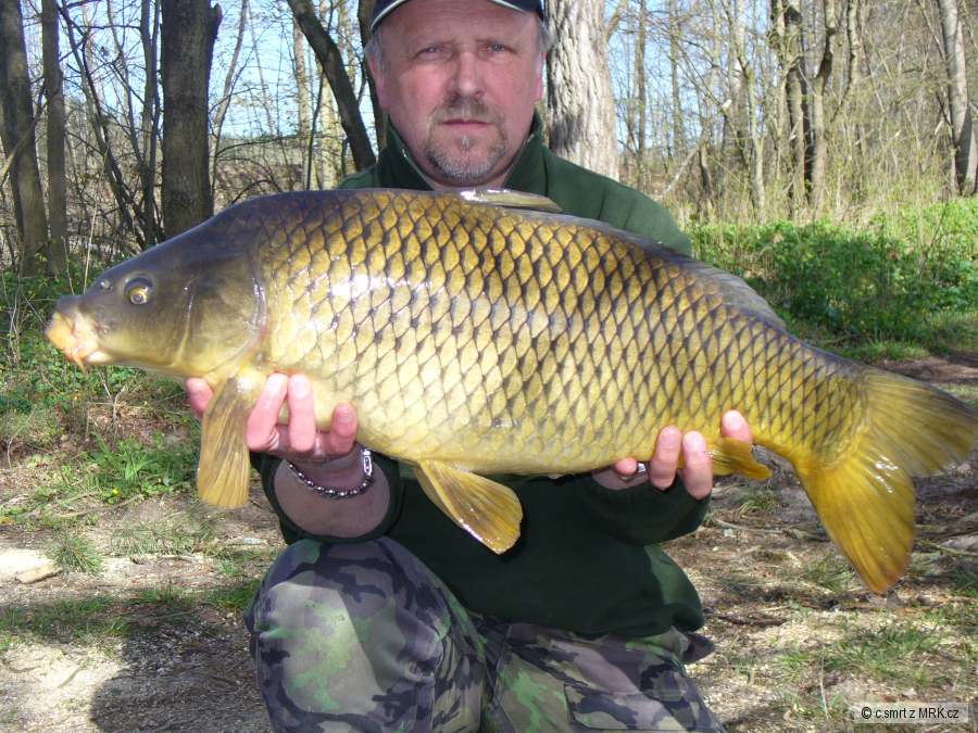 2015-85cm,9kg