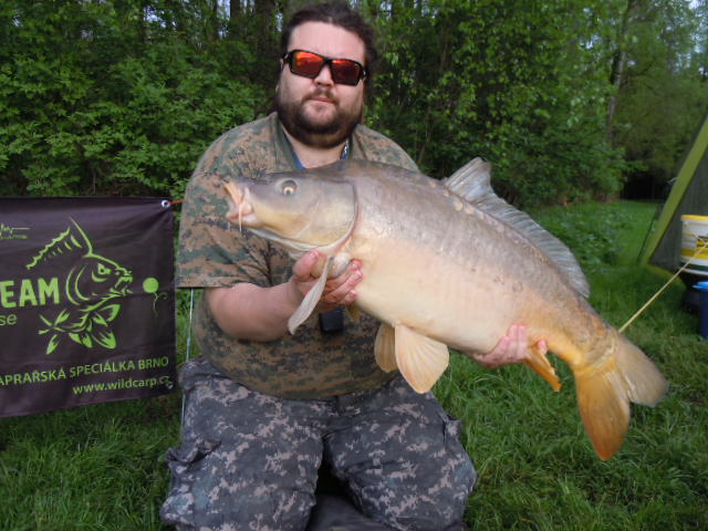 wild carp team