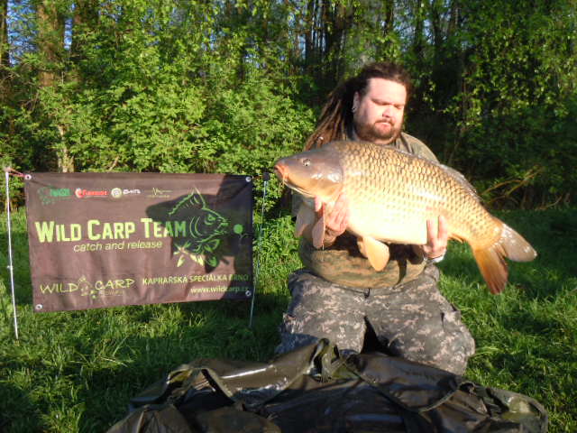 wild carp team