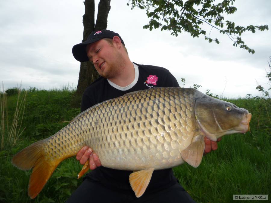 Kapr 90 cm - 16,50 kg