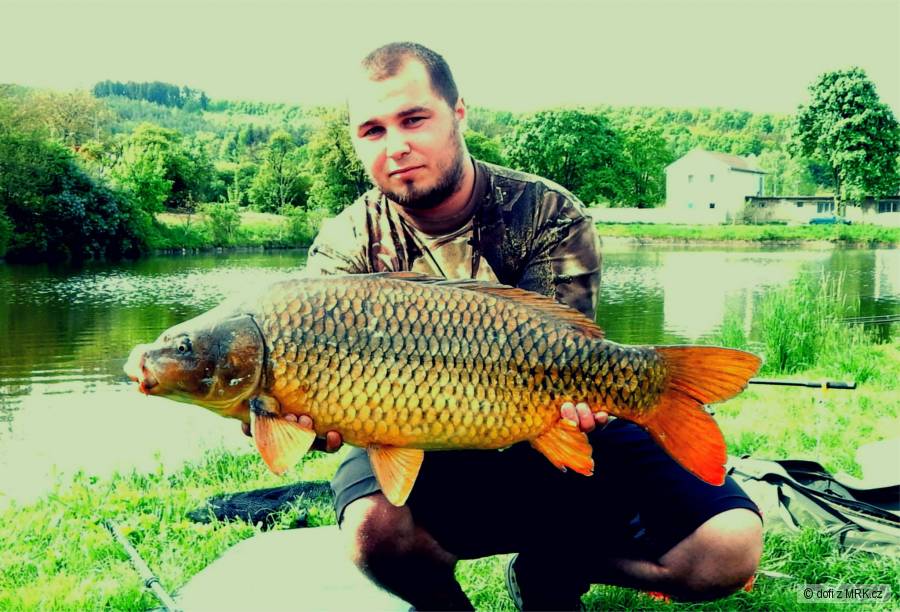 Kapr 78 cm